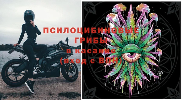 гашик Каменск-Шахтинский