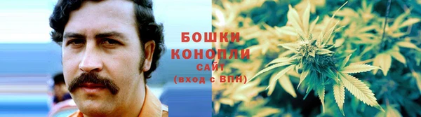прущие грибы Иннополис