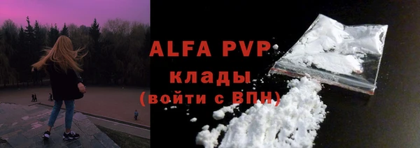прущие грибы Иннополис