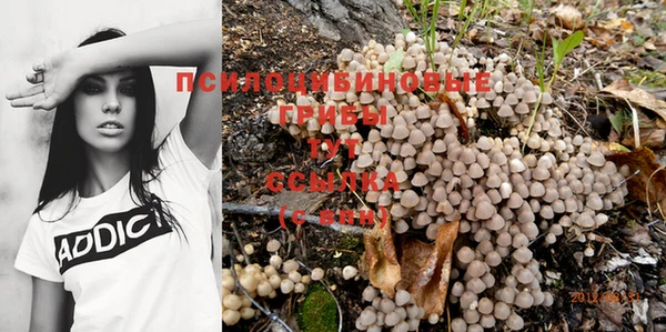 гашик Каменск-Шахтинский