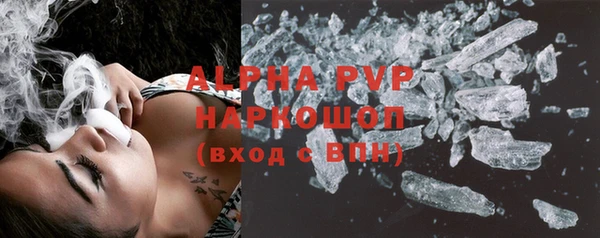 прущие грибы Иннополис