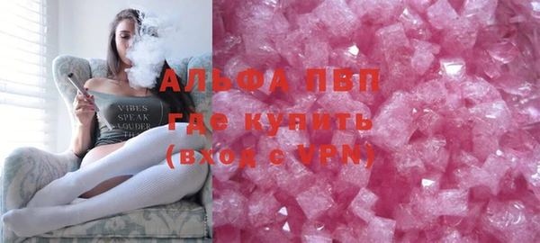 прущие грибы Иннополис