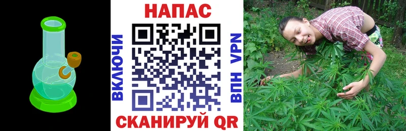 Марихуана план  купить наркотик  Краснозаводск 